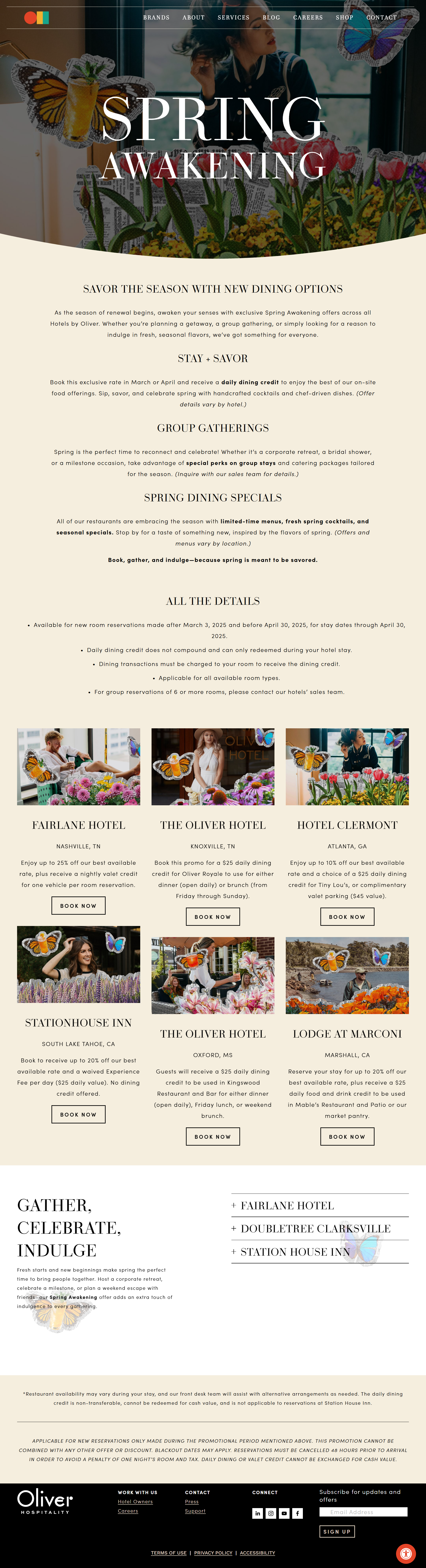 RAFI DEV PORTFOLIO IMG